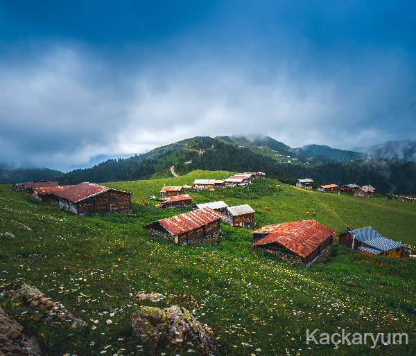 Karadeniz Yayla Turu 3 Gece 4 Gün