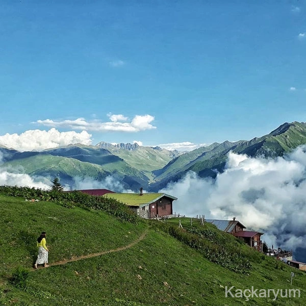 Karadeniz Doğa ve Kültür Turu: Uzungöl'den Kaçkarlar'ın Tepelerine Unutulmaz Bir Keşif