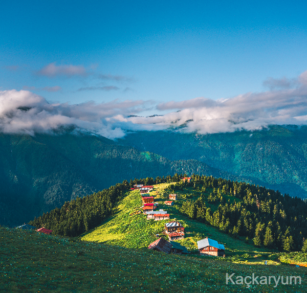 Pokut - Sal Yaylası Turu